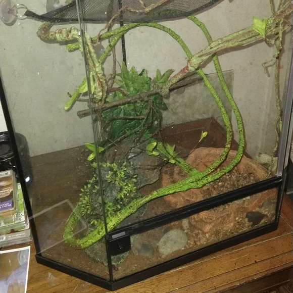 Reptile tank - Picture 2 of 2